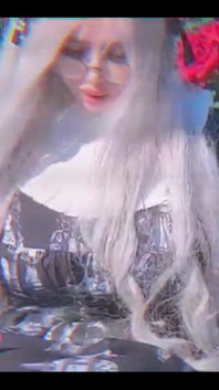 What Types of Flowers Do You Particularly Like?