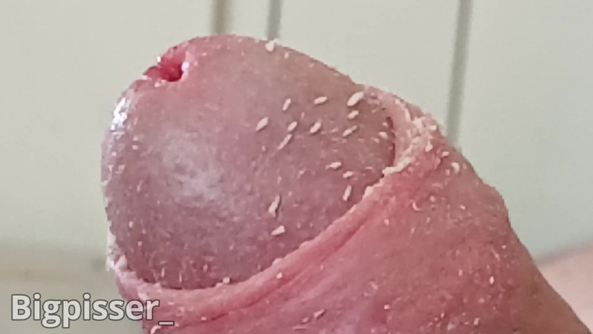 Bigpisser Smegmacock Closeup of Uncut Penis (Bigpisser)