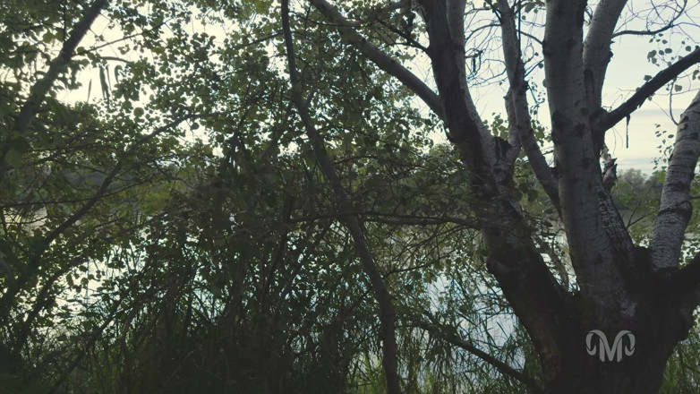 Freemen Secrets: Douglas Smith vögelt Thiago Santana im Wald