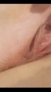湿润的阴户