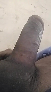 Seksuele harde pik