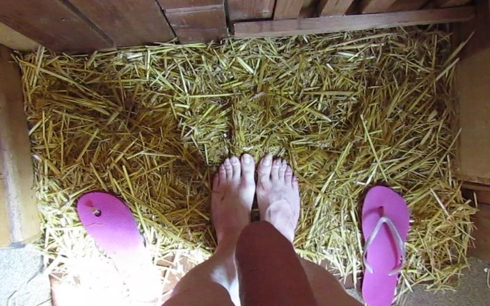 Barefoot Stables: Maricas mijando