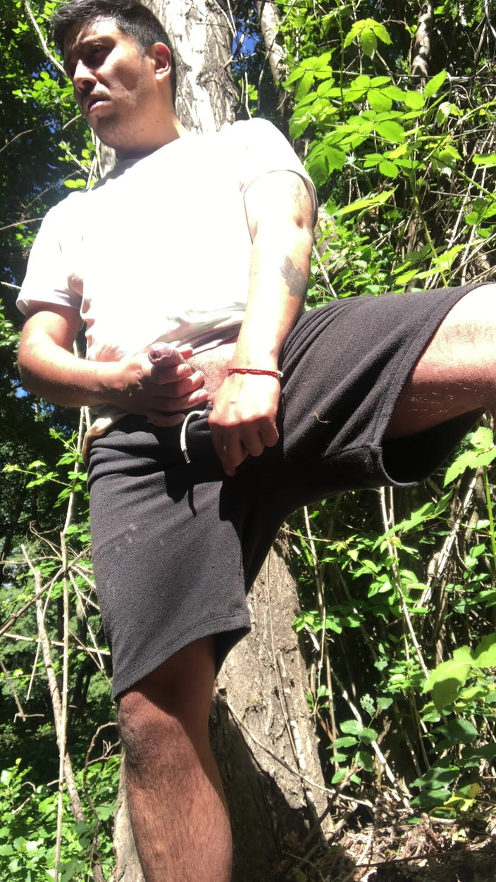 Hardnoisex: 森林视角——野性户外乐趣