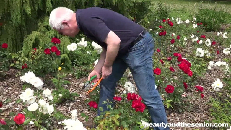 Granddadz: Lolly due ock ed un mike ock. Mi scopo quel...