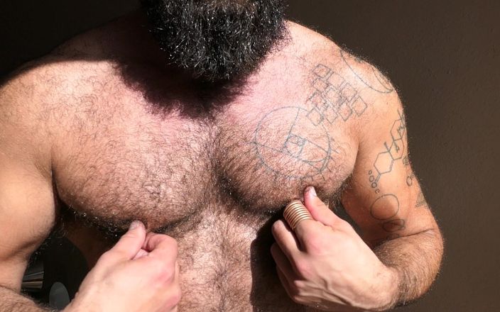 TripleXTransMan: Showing off My Hairy Muscle Chest