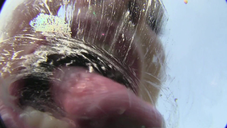 Kinky Porn Freaks: Nicole Vice enjoying some sex toys by the pool