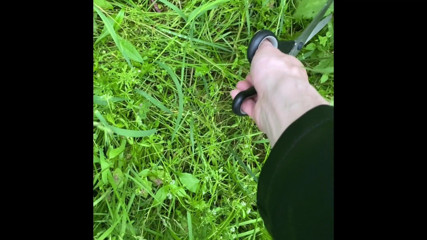 Logi like: Рабська кропива і анальна гра