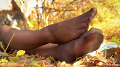 Mistress Legs: Fetichista's Trap: a Forest Nymph em meias pretas brinca com...