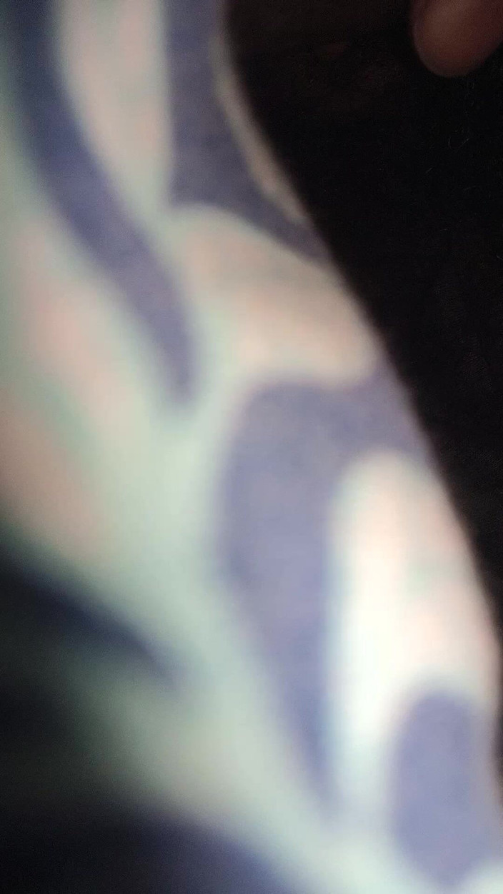 John Denver: デシボーイのマスターベーション