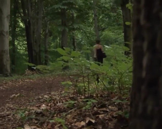 German amateur - 100% German hardcore videos: Brunette milf fucked until cumshot in the forest