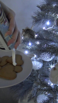 Just Entered the Holiday Vid Contest with My Brand