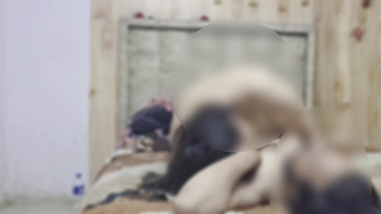 Indian Jonny S: Il fratellastro e la sorellastra lavorano sodo a letto