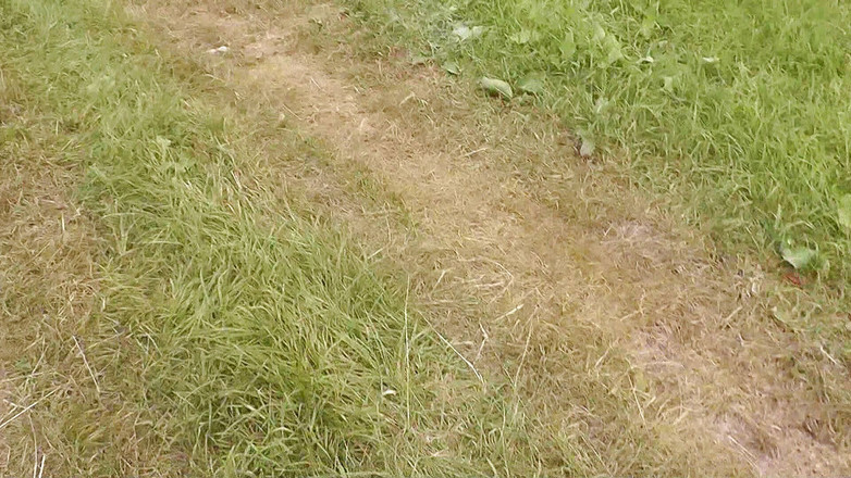 XXX-Platinum: Passante casuale che guarda sesso sul sedile posteriore della macchina....