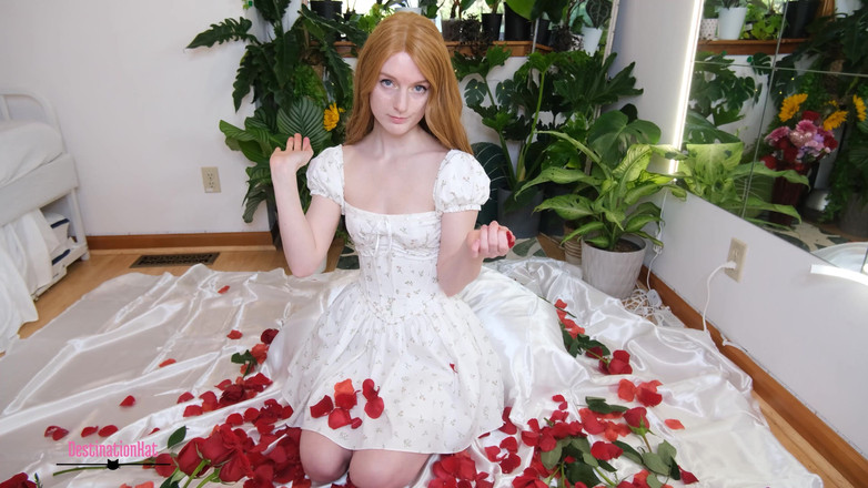 Destination Kat: Raus aus deiner liga