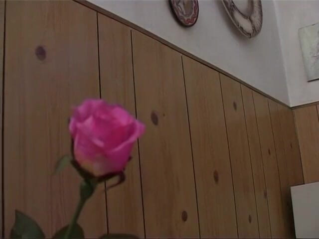 Xtime Network: Amatir berambut merah dewasa dengan stoking seksi suka ngentot pantat