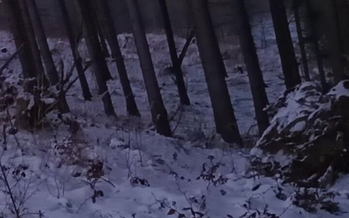 kickerscooter: Nackte Natur im Winter