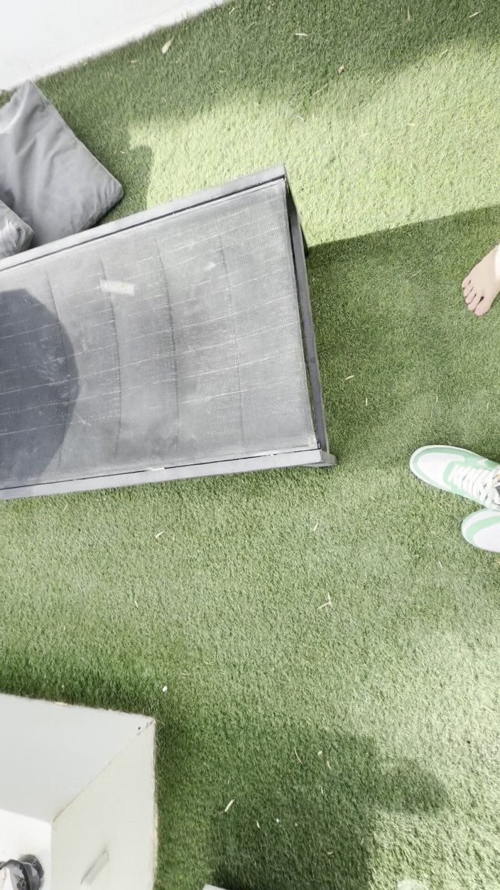 The irish bull: Taurul V Geishakyd