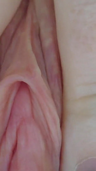 Clitóris e Vagina