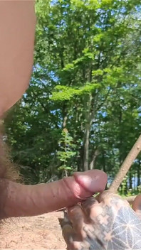 Fellation en camping en plein air avec éjaculation