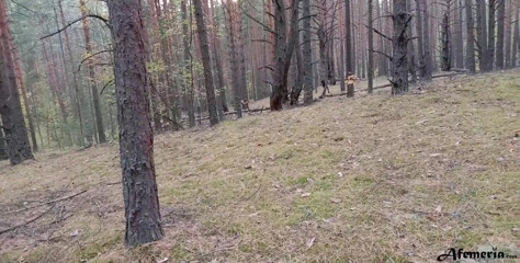 Afemeria: Horny Babe Caught in the Forest and Doggystyle Fucked