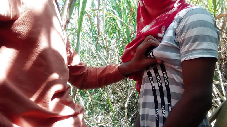 Indian Hijraji: 人妖和卡车司机去甘蔗田，像甘蔗一样吮吸鸡巴。