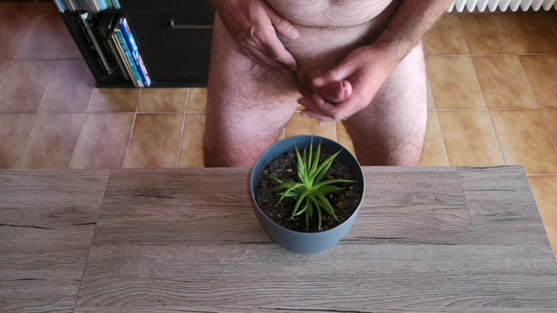 Cicci77: Cicci77用尿液和精子喂养她的植物，使它们丰满