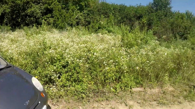 Polly Sweet: Venkovní šukání s chlapem v blízkosti auta (lízání jeho mrdky z kundičky)