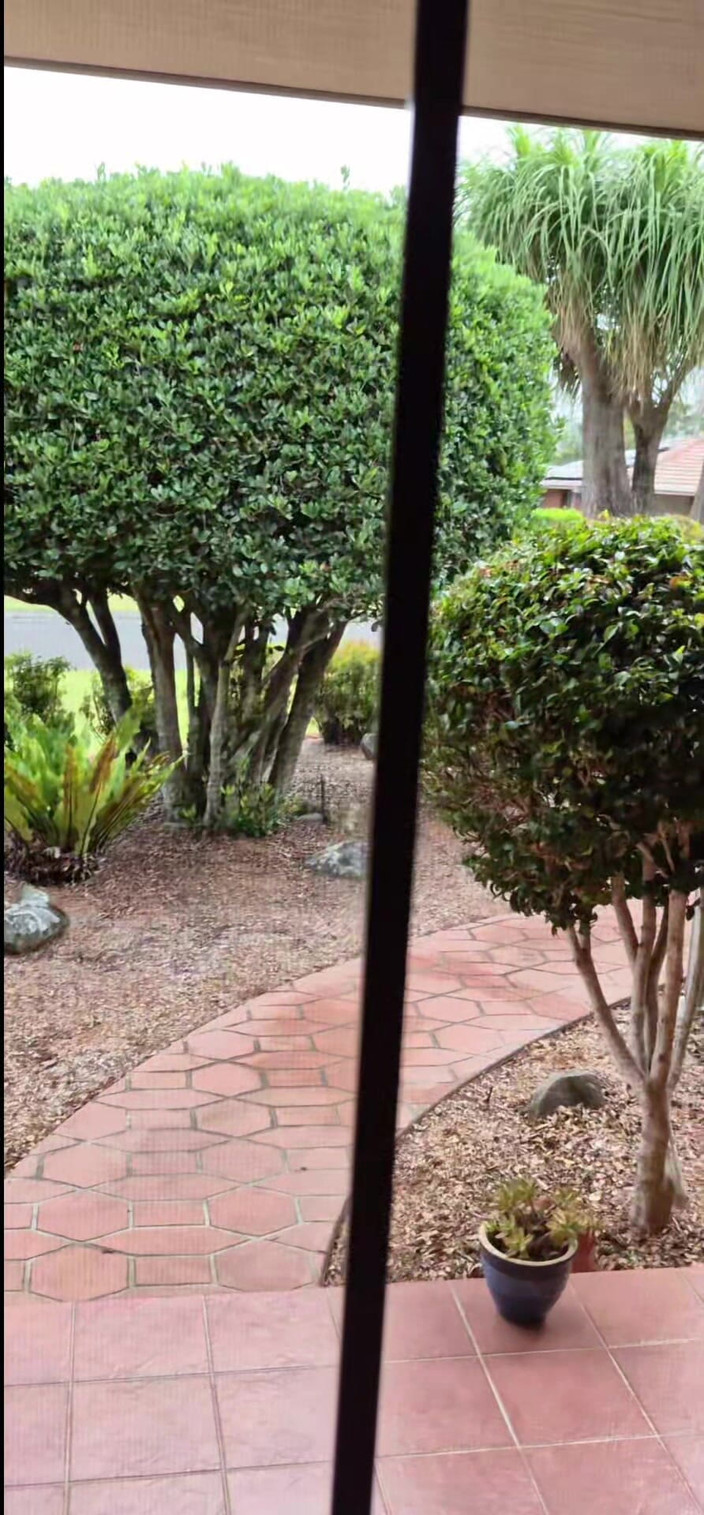 yogiyumyum: Nie więcej