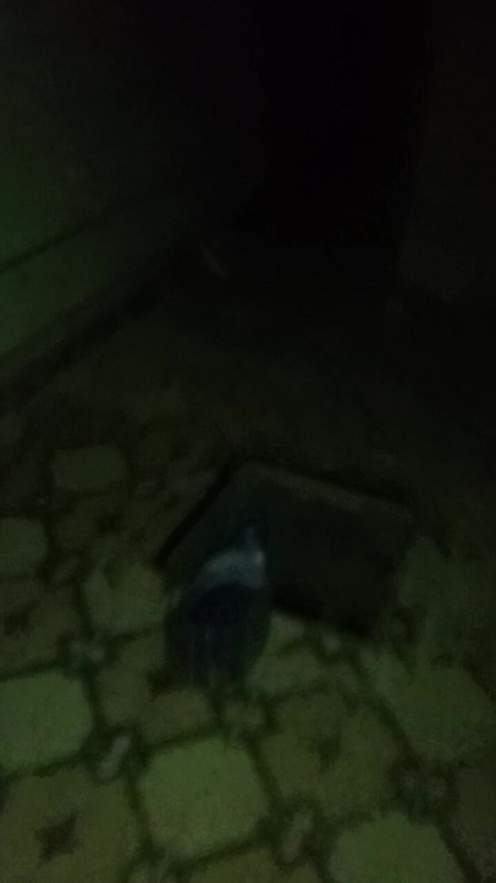 Lifeboy: Nachtelijke Vlog Het Naar Huis En. Seksmeisje Vriend