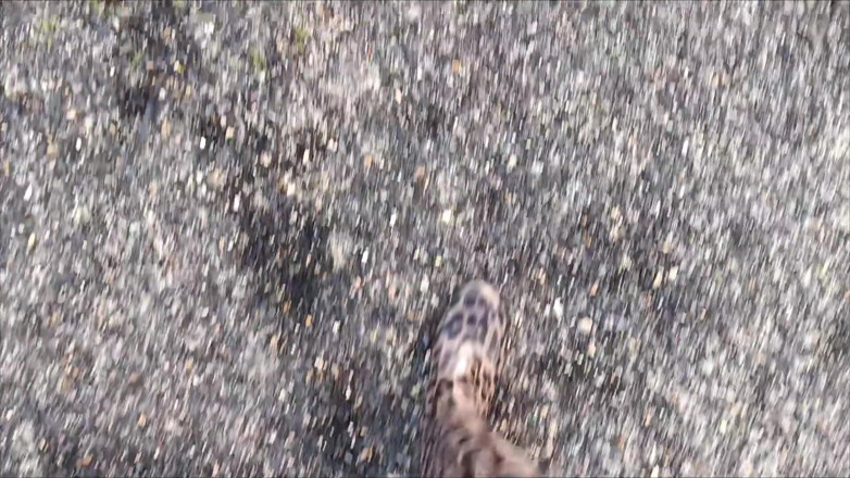 Kinky Lyrical: Long Walk in Gumboots by Kinkylyrical