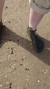 Short Test in the Mudflats on the Beach of Horumersiel