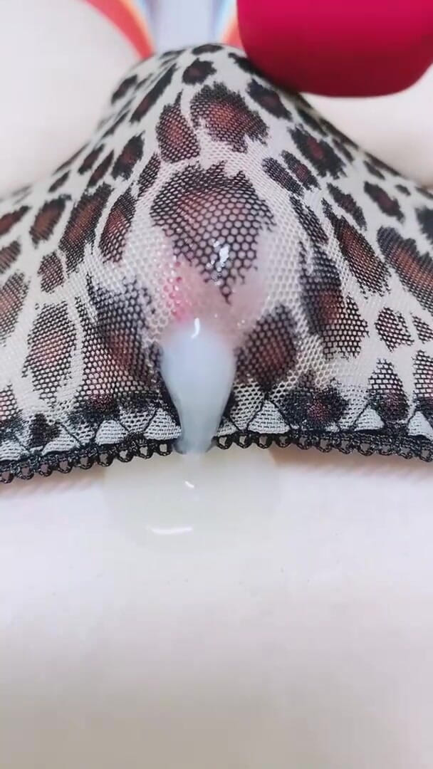 eggnog: Detailní záběr 2 Launch Essence_#5