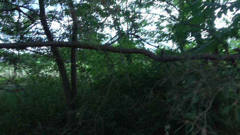 German Amateur Desire - ORRANGE MEDIA: Sentimentul de neuitat al unei pule groase și dure