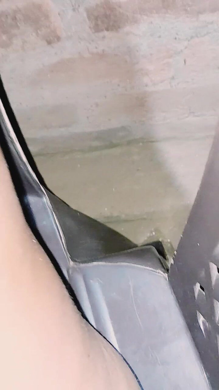 Renudbf: 大胸部德西性爱