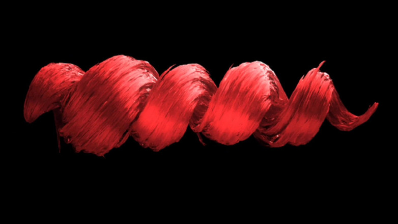 Rex Ringo XXX Productions: Bts dengan pelakon filem dewasa Celeste Sorak Membantu