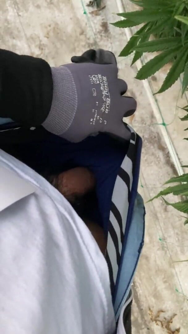 Xooshua (xblue18): Büyük yaraklı eşcinsel ibne