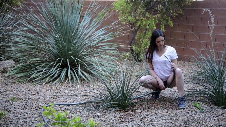 Web Young: WEB YOUNG - college sorority babes catch up for time lost