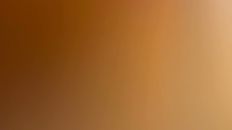 Happy together: Feting