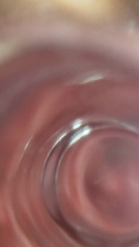 See Inside My Asshole with My Glass Butt Plug