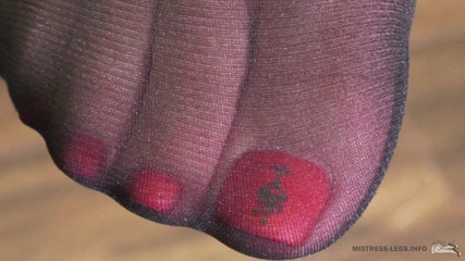 Mistress Legs: Just nylon toes and soles closeups