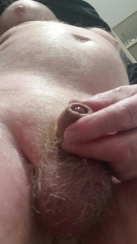 My Tiny Dick Show