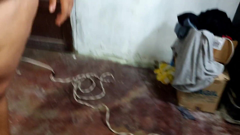 Gordita Culo Rico: Det är kallt och min sexiga styvmamma kom för att värma...