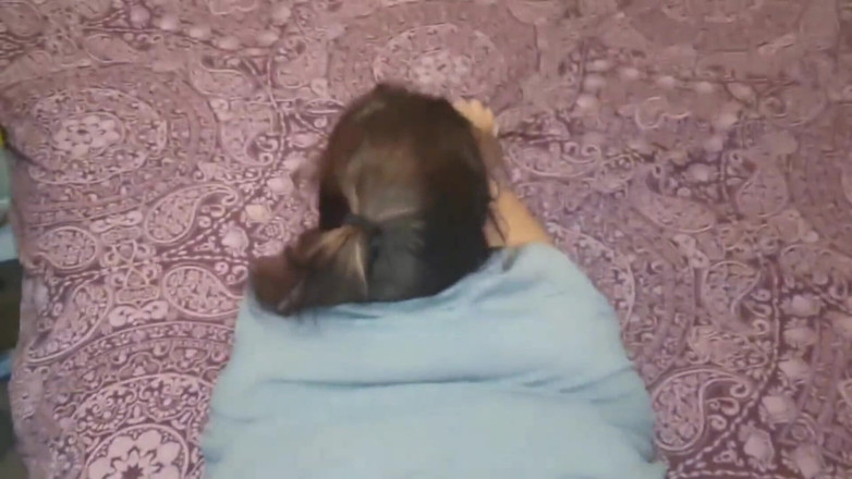 Real homemade BBW BBC porn: WildEnglishbbw 大黑屌 nata4sex 粗暴打屁股 毛茸茸的拉扯 狗式