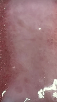 Big White Penis Squirts in Closeup
