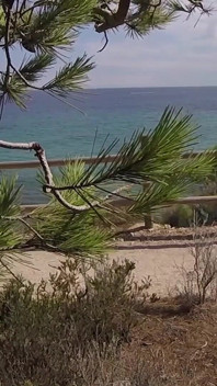 Dick flash - saco mi polla delante de una chica francesa ... Beach Path y ella me ayuda a correrme en Mounth atrapada!!