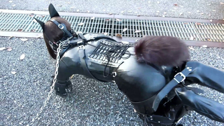 Aisan girl bondage: Un cățeluș legat cu latex, plimbând câinele