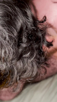 Hairy Stepdaddy Fucks My Fat Ass Raw and the Cameraman Joins in