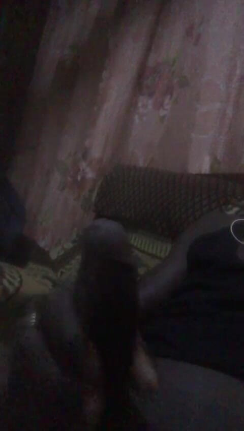 yobo1nene: Amadu