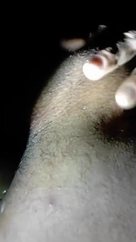 Salah satu My Solo Videos