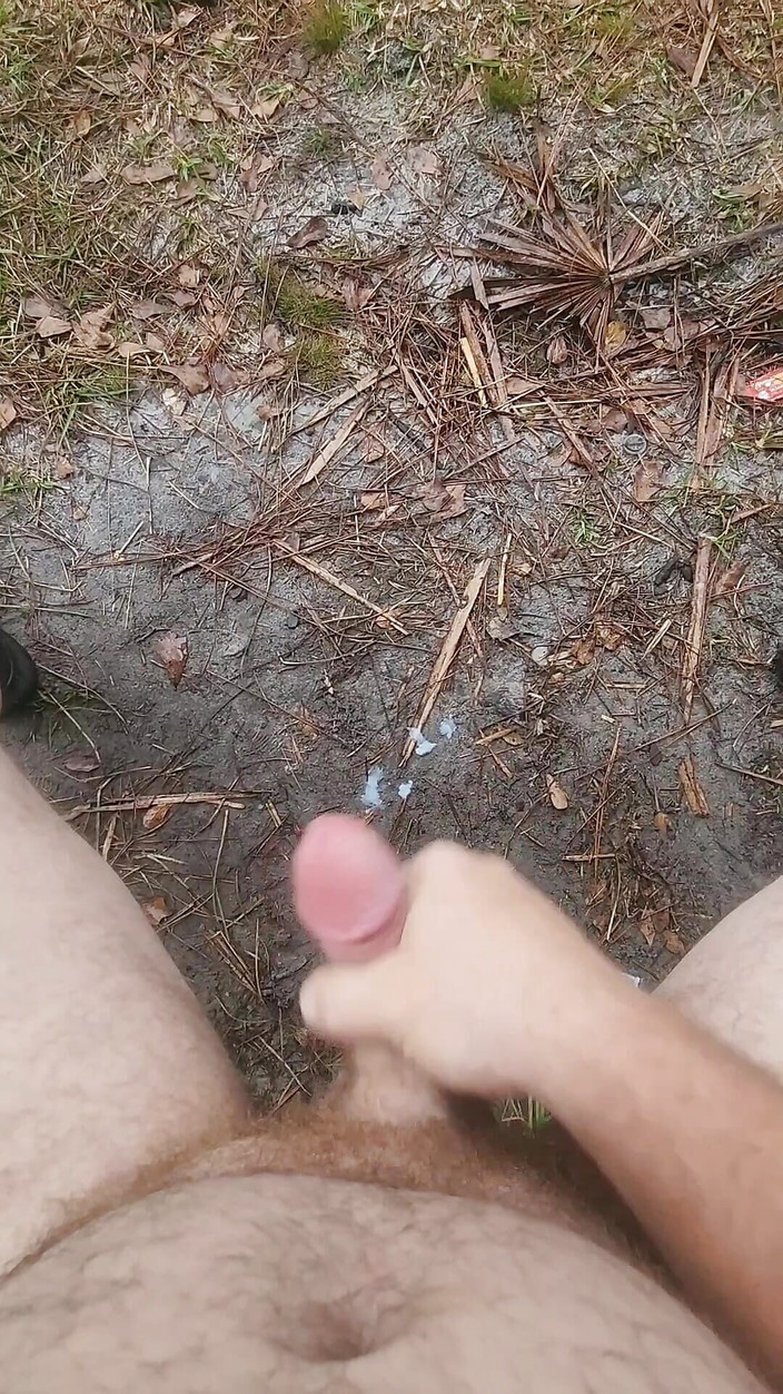 Djk31314: Kompilace mrdky